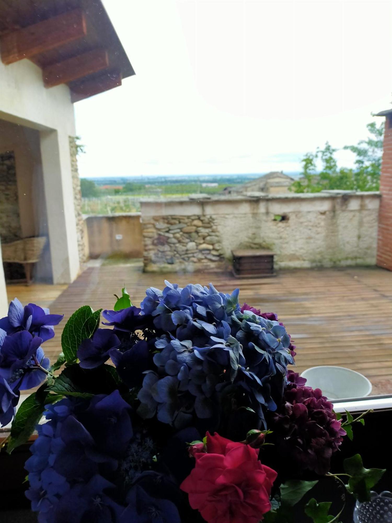 Agriturismo Magnarosa Villa Barge Bilik gambar